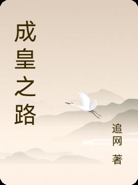 成都蓉城vs浙江队